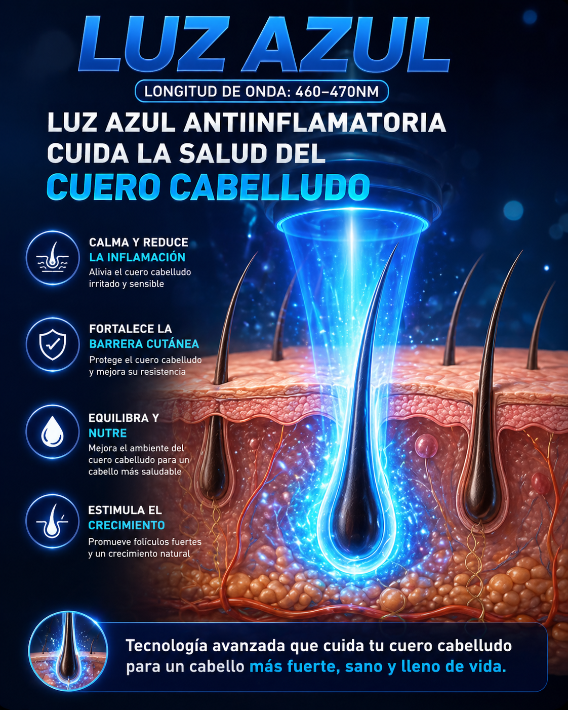 Cepillo vaporizador anticaída + masajeador capilar 3 en 1